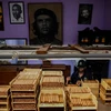 Đóng gói xì gà tại nhà máy Cohiba ở Havana, Cuba, ngày 8/9/2022. (Ảnh: AFP/TTXVN)