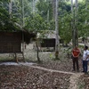 Khu du lịch cộng đồng Lâm viên Phiêng Bung của Hợp tác xã nông nghiệp Thanh niên Năng Khả. (Ảnh: Nam Sương/TTXVN)