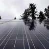 Các tấm pin năng lượng mặt trời trên đảo Lasqueti, British Columbia, Canada. (Ảnh: THE CANADIAN PRESS/TTXVN)