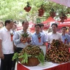Các đại biểu tham quan các gian hàng tại phiên chợ vải Hưng Yên 2023. (Ảnh: Đỗ Huyền/TTXVN)