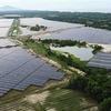Nhà máy Điện mặt trời Cẩm Hòa có diện tích 60 ha, được lắp đặt 152.670 tấm pin mặt trời và giá đỡ (tương đương 5.089 giàn pin). (Ảnh: Vũ Sinh/TTXVN)