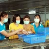 Thực hiện Đề án “Hỗ trợ phụ nữ khởi nghiệp” giai đoạn 2017-2025 của Chính phủ (Đề án 939), 5 năm qua, các cấp Hội phụ nữ tỉnh Nam Định đã tổ chức đào tạo 304 lớp cho trên 10.600 người (trong đó, hơn 9.000 lao động có việc làm sau đào tạo), đạt 86%. (Ảnh: