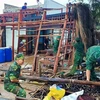Bộ đội Biên phòng Cà Mau giúp người dân xã Khánh Hội, huyện U Minh dựng lại nhà bị sập do ảnh hưởng cơn bão số 1. (Ảnh: TTXVN phát)