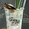 Đồ uống với côn trùng tại Nhật Bản. (Nguồn: TimeOut)