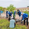 Các đoàn viên thanh niên tham gia trồng cây tại Trường Mầm non Tân Hương, huyện Ninh Giang, tỉnh Hải Dương. (Ảnh: TTXVn phát)