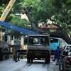 Lực lượng chức năng dùng xe cẩu tiến hành di dời cây xanh đổ vào xe buýt trên phố Tăng Bạt Hổ. (Ảnh: Phạm Kiên/TTXVN)