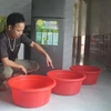 Gia đình anh Lê Văn Hiến ở thôn Tuyên Hóa, xã Đông Khê (huyện Đông Sơn) phải dùng 3 cái chậu để hứng nước mưa do thấm dột trần nhà. (Ảnh: Hoa Mai/TTXVN)
