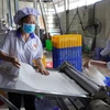 Sản xuất sản phẩm sau gạo tại Cơ sở Thực phẩm Phú Khang 2, thành phố Sa Đéc, tỉnh Đồng Tháp. (Ảnh: Nhựt An/TTXVN)