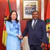 Phó Chủ tịch nước Võ Thị Ánh Xuân hội kiến Tổng thống Mozambique Filipe Nyusi. (Ảnh: Lâm Khánh/TTXVN)