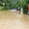 Mưa lớn làm ngập một đoạn trên Quốc lộ 70, đoạn qua xã bản Cầm, huyện Bảo Thắng. (Ảnh: Quốc Khánh/TTXVN)
