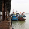 Cảng cá Xuân Hội, Hà Tĩnh. (Ảnh minh họa: Hữu Quyết/TTXVN)