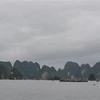 Tàu thuyền trên Vịnh Hạ Long. (Ảnh minh họa: Thanh Vân/TTXVN)