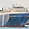 Một tàu chở hàng do công ty của Nhật Bản và Anh sở hữu. (Nguồn: Arab News)