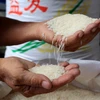 Gạo Việt Nam xuất khẩu đi Trung Quốc. )Ảnh: Hồng Đạt/TTXVN)