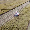 Thu hoạch lúa trên cánh đồng liên kết sản xuất của Tập đoàn Lộc Trời ở tỉnh An Giang. (Ảnh: Vũ Sinh/TTXVN)