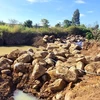 Hàng trăm khối đá lớn nằm la liệt trong khu vực rẫy cà phê của ông Thủy. (Ảnh: Quang Thái/TTXVN)