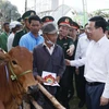 Chủ tịch nước tặng bò cho hộ nghèo tại "Xuân biên phòng ấm lòng dân bản"