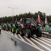 Nông dân Ba Lan biểu tình phản đối ngũ cốc của Ukraine tại giao lộ Poznan Lawica (Ba Lan) ngày 20/2/2024. (Ảnh: PAP/TTXVN)