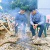 Người dân xã Chiềng Ngần, thành phố Sơn La đốt củi để sưởi ấm trong những ngày giá rét. (Ảnh: Quang Quyết/TTXVN)