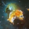 Một vụ nổ siêu tân tinh. (Nguồn: aasnova.org)