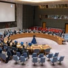 Toàn cảnh cuộc họp Hội đồng Bảo an Liên hợp quốc về tình hình Libya tại New York, Mỹ, ngày 30/10/2023. (Ảnh: THX/TTXVN)