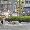 Một hố ga sụt lún do ngập xuất hiện gần chợ Thủ Đức (thành phố Thủ Đức, Thành phố Hồ Chí Minh). (Ảnh minh họa: TTXVN phát)
