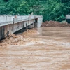 Mưa lớn khiến mực nước sông Gâm đoạn qua huyện Bảo Lâm tiếp tục dâng cao. (Ảnh: Bảo Chung/TTXVN phát)