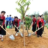 Người dân tỉnh Tuyên Quang hưởng ứng Đề án trồng một tỷ cây xanh. (Ảnh: Quang Cường/TTXVN)