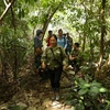 Ninh Bình: 70 người tham gia tìm kiếm người đàn ông mất tích trong rừng 10 ngày