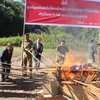 Lực lượng chức năng tỉnh Xaysomboun, Bắc Lào tiêu hủy ma túy. (Ảnh: TTXVN phát)