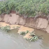 Sạt lở bờ sông tại khu 13, 14 xã Dân Quyền, huyện Tam Nông (Phú Thọ). (Ảnh: TTXVN phát)
