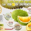 Vì sao sầu riêng trở thành "vua quả" xuất khẩu của Việt Nam