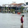 Cảnh ngập lụt sau những trận mưa lớn tại Semarang, Trung Java, Indonesia. (Ảnh: THX/TTXVN)