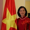 Đại sứ Việt Nam tại Maroc kiêm nhiệm Guinea-Bissau Lê Kim Quy. (Ảnh: Hồng Minh/TTXVN)