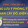 Phòng, chống bão số 3: Những lưu ý phòng, tránh tai nạn cây đổ, điện giật