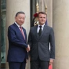 Tổng thống Pháp Emmanuel Macron đón Tổng Bí thư, Chủ tịch nước Tô Lâm. (Ảnh: Trí Dũng/TTXVN)