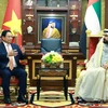 Thủ tướng Phạm Minh Chính hội đàm với Phó Tổng thống, Thủ tướng UAE Sheikh Mohammed bin Rashid Al Maktoum. (Ảnh: Dương Giang/TTXVN)