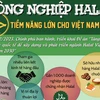 Thị trường Halal: Tiềm năng "nghìn tỷ USD" chưa được khai phá