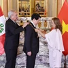 Tổng thống Dina Ercilia Boluarte Zegarra trao Huân chương “Mặt trời Peru” cấp Đại Thập tự tặng Chủ tịch nước Lương Cường. (Ảnh: Lâm Khánh/TTXVN)