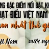 Vì sao hạt điều Việt Nam lại được đánh giá là "ngon nhất thế giới"?