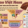 Đã đến lúc cacao Việt Nam trở lại với giấc mơ trở thành "thủ phủ" của châu Á?