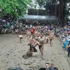 Hội Vật cầu nước làng Vân - lễ hội dân gian “độc nhất vô nhị” 