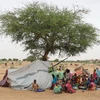 Người tị nạn Sudan tại Koufroun, gần Echbara, CH Chad. (Ảnh: AFP/TTXVN)