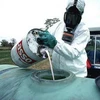EU mất hàng trăm tỷ euro mỗi năm do phơi nhiễm chất hóa học