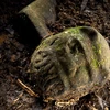 Honduras phát hiện một số dấu tích của “Thành phố Trắng”