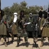 Nigeria đẩy lùi phiến quân Boko Haram ra khỏi bang Adamawa