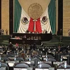 Mexico khởi động chiến dịch tranh cử giữa nhiệm kỳ năm 2015