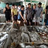 Nghệ An: Du khách đổ về Cửa Lò, giá hải sản tăng vọt