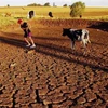 Hạn hán nghiêm trọng khiến 520 thành phố ở Iran thiếu nước