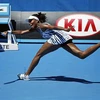 Australian Open: Nhà Williams nhận cú sốc ngày ra quân